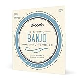 D'Addario EJ69 Phosphor Bronze 5-String Banjo Strings, Light, 9-20