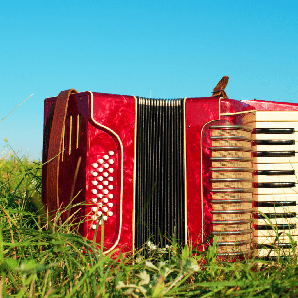 learn accordion