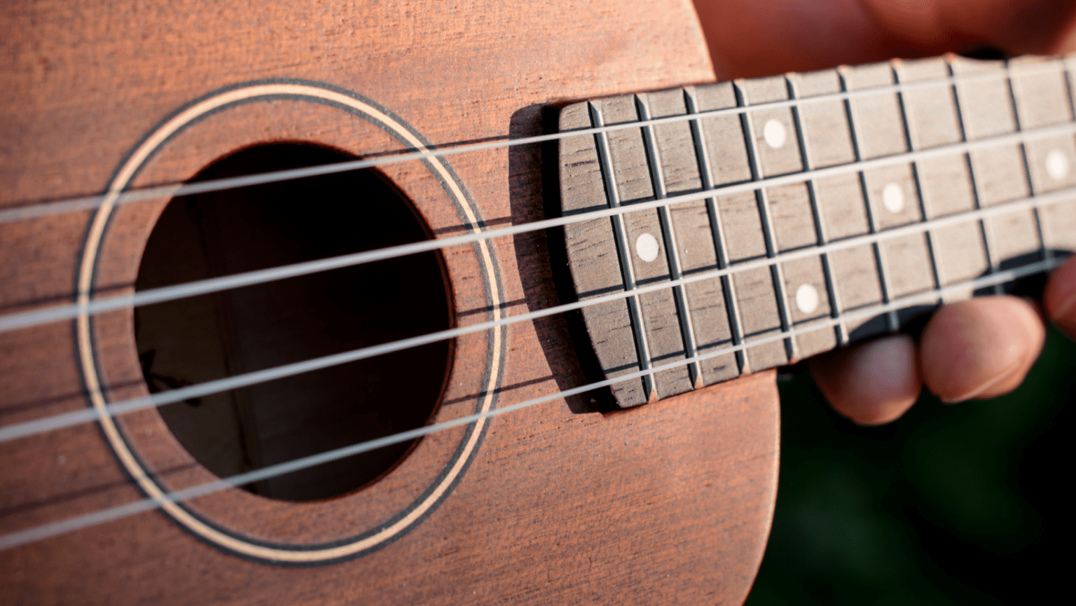 5 Best Low G Ukulele Strings In 2022 - NextInstrument